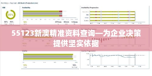 55123新澳精准资料查询—为企业决策提供坚实依据