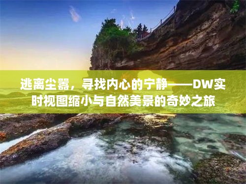 DW实时缩小视图，逃离喧嚣，探寻内心宁静与自然美景的奇妙之旅