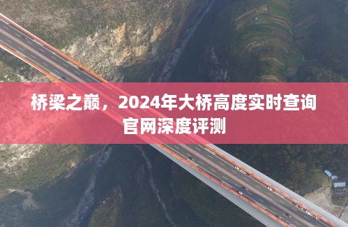 2024年12月14日 第26页