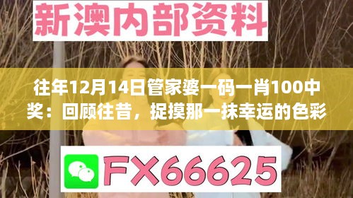 往年12月14日管家婆一码一肖100中奖：回顾往昔，捉摸那一抹幸运的色彩