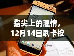 2024年12月14日 第14页