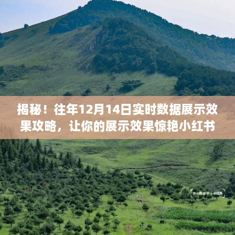 揭秘往年12月14日实时数据展示攻略，让你的展示效果惊艳小红书！