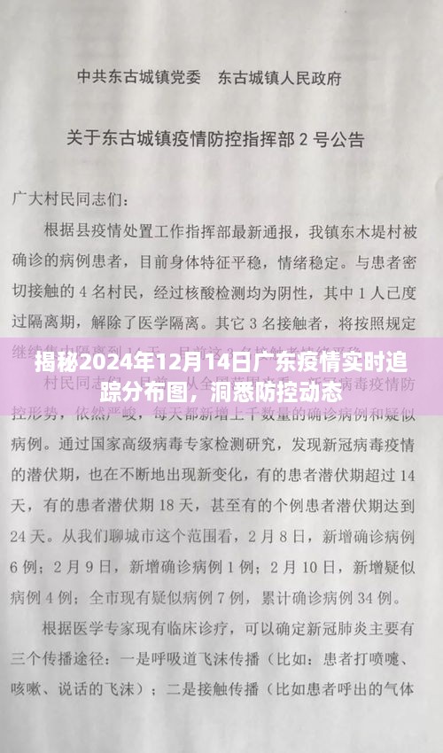 广东疫情实时追踪分布图，洞悉防控动态，揭秘2024年12月14日最新情况