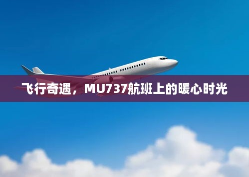 MU737航班，暖心飞行奇遇时光