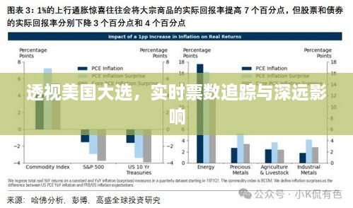 透视美国大选，实时票数追踪与深远影响力分析