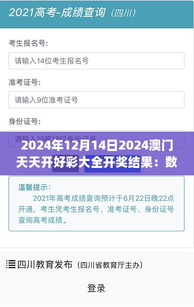 2024年12月14日2024澳门天天开好彩大全开奖结果：数字背后的故事，你的幸运篇章