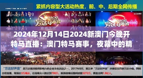 2024年12月14日2024新澳门今晚开特马直播：澳门特马赛事，夜幕中的精英竞技场