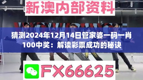 猜测2024年12月14日管家婆一码一肖100中奖：解读彩票成功的秘诀