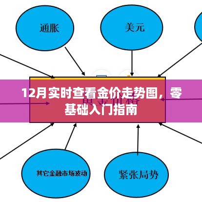 零基础入门指南，12月实时查看金价走势图