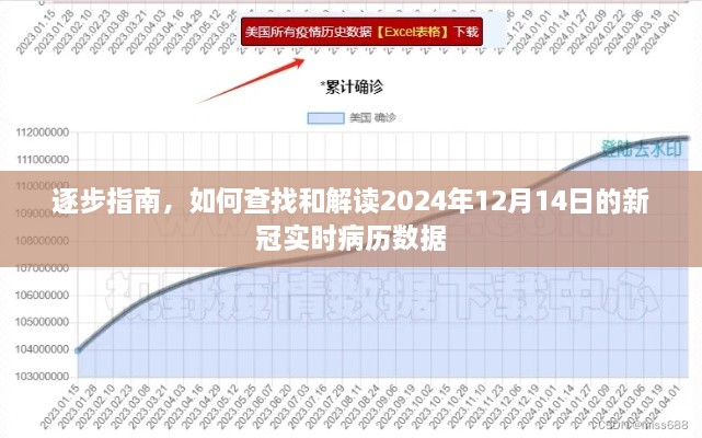 如何解读2024年12月14日新冠实时病历数据逐步指南