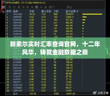 新索尔实时汇率查询官网，十二年铸就金融数据之巅