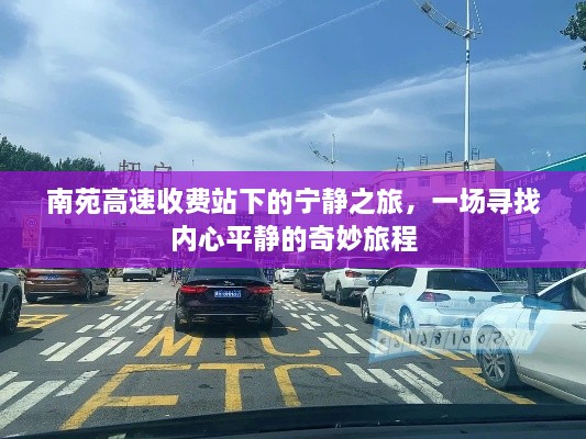 南苑高速收费站下的宁静之旅，内心平静的奇妙探索