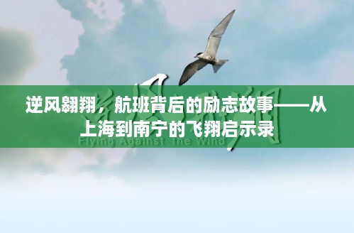 逆风翱翔，上海至南宁航班的励志启示录