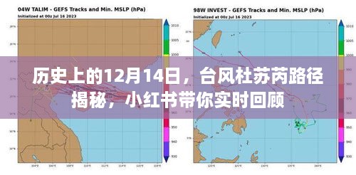 台风杜苏芮路径揭秘，小红书带你回顾历史性的12月14日