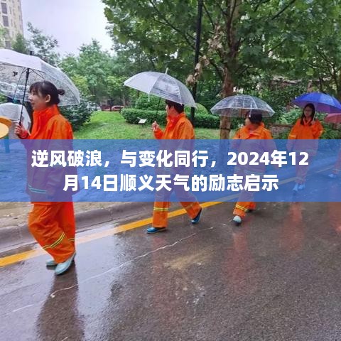 逆风破浪，顺义天气的励志启示，与变化同行，2024年12月14日的启示之路