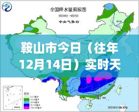 2024年12月15日 第14页