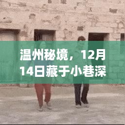 温州秘境，探寻小巷深处的风味小店，二十四小时探秘之旅（12月14日）