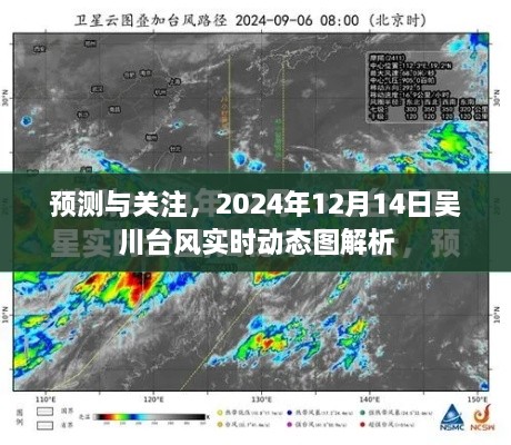 吴川台风实时动态图解析，预测与关注，深度解读2024年12月14日台风动态