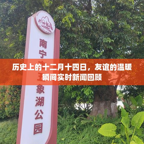 十二月十四日友谊温暖瞬间，历史实时新闻回顾