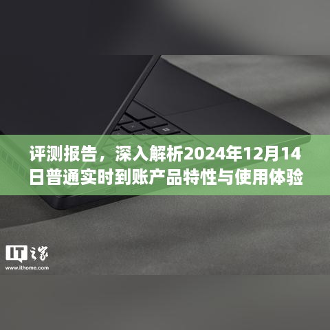 评测报告，深入解析普通实时到账产品的特性与使用体验（2024年12月14日版）