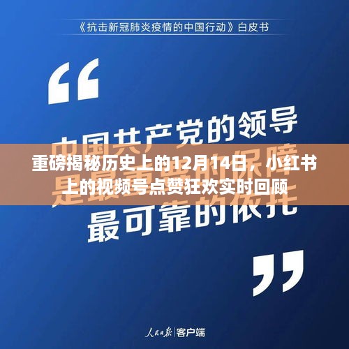 重磅揭秘，历史上的今天与小红书视频号点赞狂欢回顾——12月14日实时回顾