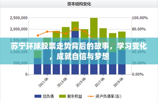 苏宁环球股票走势深度解析，探寻变化，筑梦自信之路