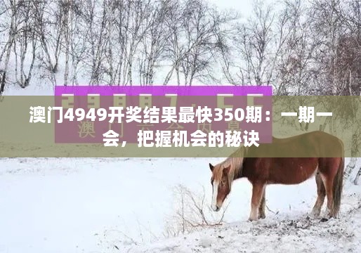 澳门4949开奖结果最快350期：一期一会，把握机会的秘诀