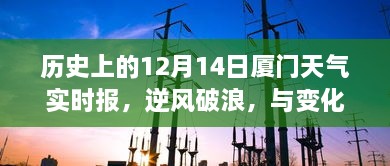 历史上的厦门天气实时报，逆风破浪，成就自信之光——12月14日篇