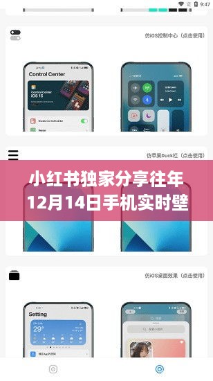 小红书独家教程，往年12月14日手机实时壁纸更换指南，个性桌面轻松打造！