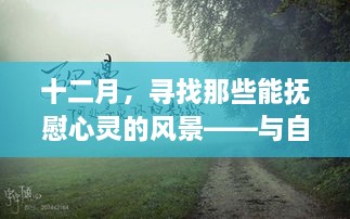 十二月心灵抚慰之旅，与自然共舞的活动指南