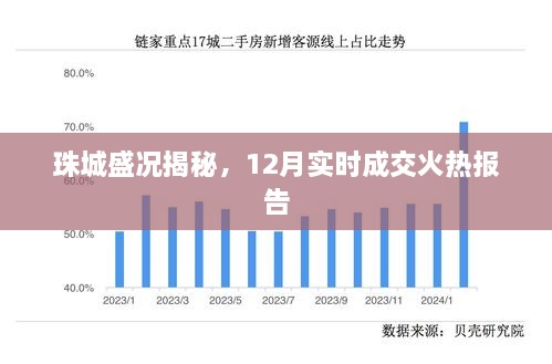 珠城盛况揭秘，12月实时成交火热揭秘