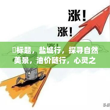 盐城行，自然美景探寻之旅，油价随行的心灵之旅