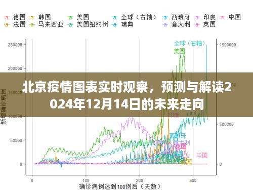 北京疫情图表实时观察，预测与解读未来走向（截至2024年12月14日）