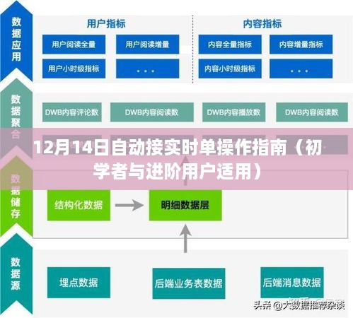 12月14日实时单操作指南，从初学者到进阶用户的全方位指导