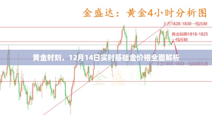 2024年12月16日 第22页