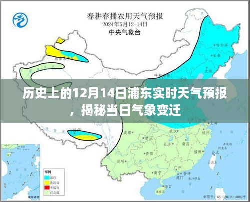 揭秘历史浦东气象变迁，12月14日实时天气预报