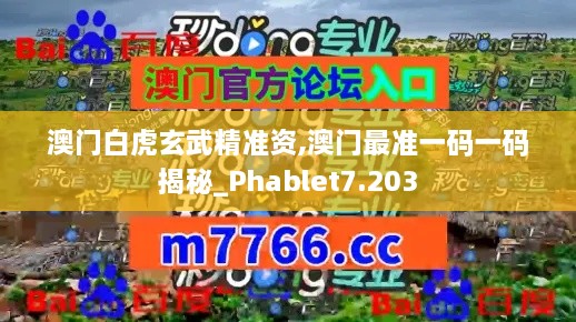 澳门白虎玄武精准资,澳门最准一码一码揭秘_Phablet7.203