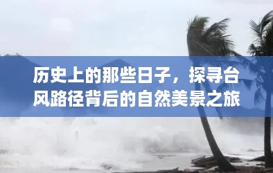 2024年12月16日 第16页