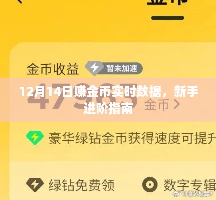 新手进阶指南，12月14日赚金币实时数据解析