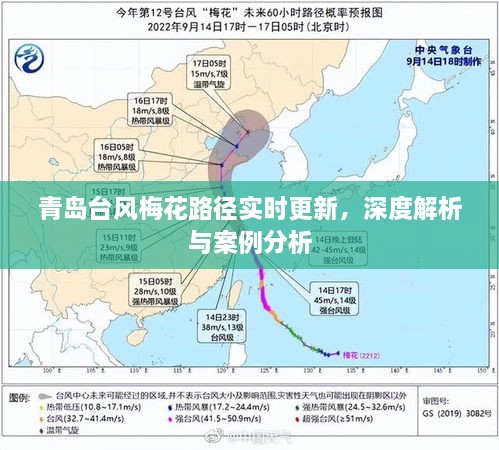 青岛台风梅花路径实时更新及深度解析与案例分析