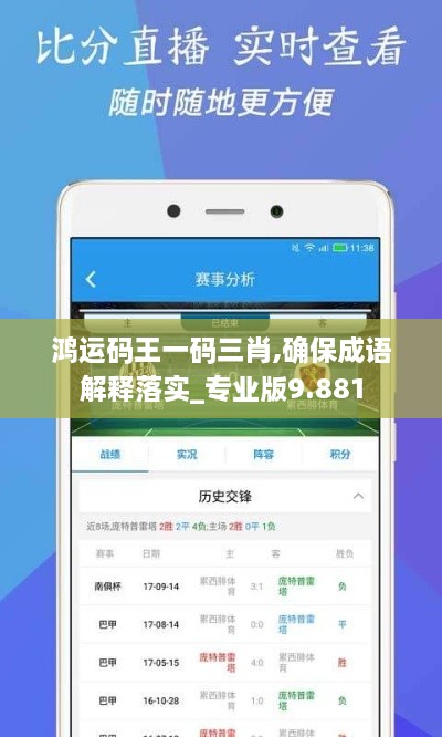鸿运码王一码三肖,确保成语解释落实_专业版9.881