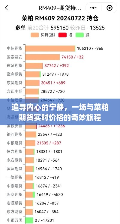 追寻内心宁静的旅程，与菜粕期货实时价格的探索之旅