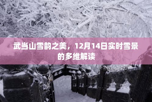 武当山雪韵之美，实时雪景解读与多维体验（12月14日）