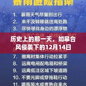 如皋台风侵袭，历史上的12月14日