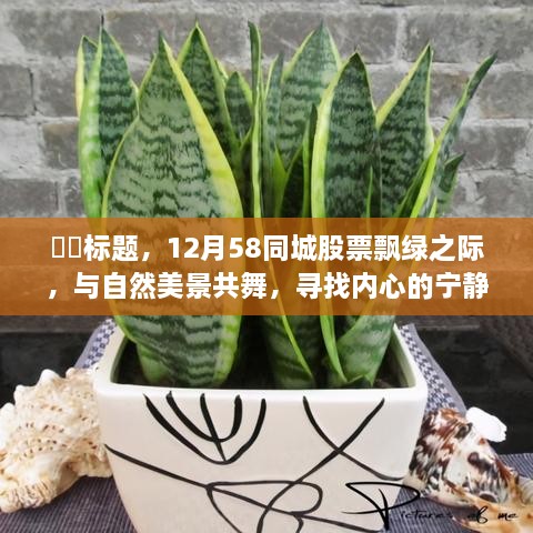 股票飘绿之际，与自然美景共舞，寻找内心的宁静港湾 —— 12月58同城观察