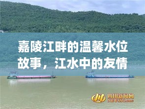 嘉陵江畔的水位故事，江水见证友情与家的温暖