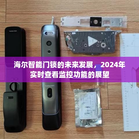 海尔智能门锁未来展望，2024年实时监控功能的深度发展