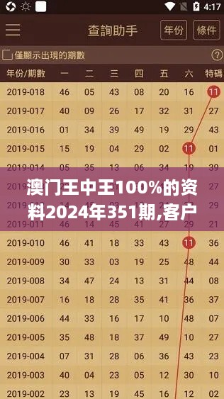 澳门王中王100%的资料2024年351期,客户反馈分析落实_增强版6.596