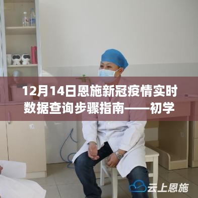 恩施新冠疫情实时数据查询指南，12月14日步骤详解，适合初学者与进阶用户