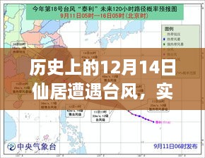 2024年12月17日 第23页